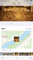 シーバスランカークラブ