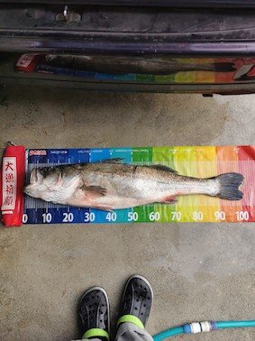 シーバスランカークラブ