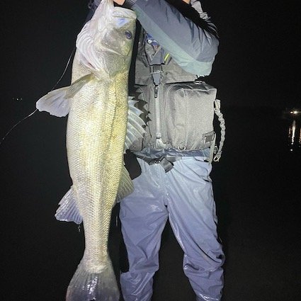 シーバスランカークラブ