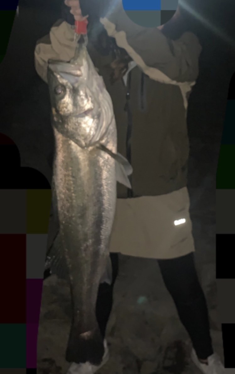 シーバスランカークラブ